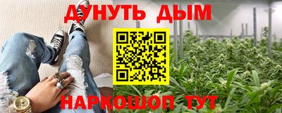 сатива Рыбинск