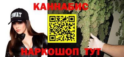 сатива Рыбинск