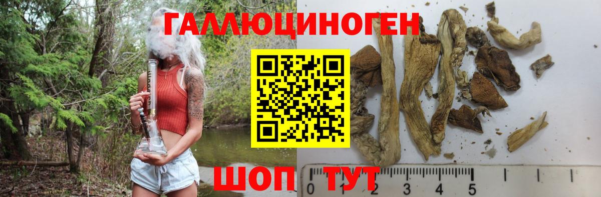 Галлюциногенные грибы ЛСД Ахтубинск