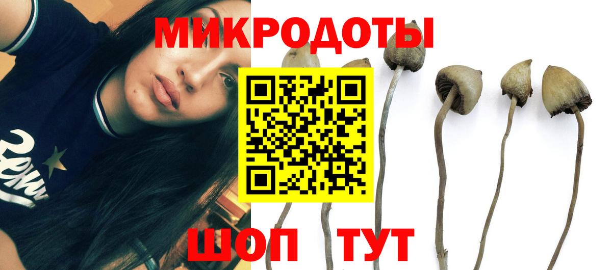 Галлюциногенные грибы Psilocybine cubensis  Вход с VPN  Галлюциногенные грибы Psilocybe  Ахтубинск 